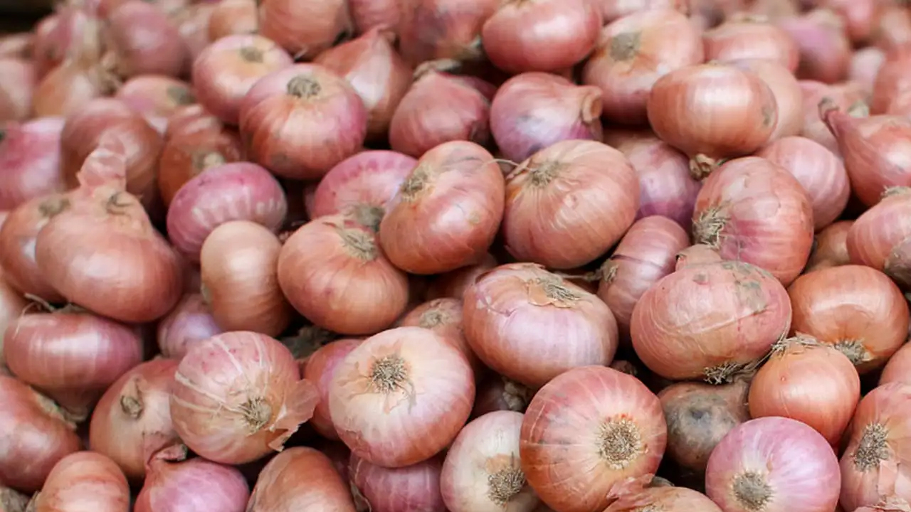 ঢাকায় পেঁয়াজের দামে তারতম্য, কোথাও কোথাও কমেছে কেজিতে ২০ টাকাও