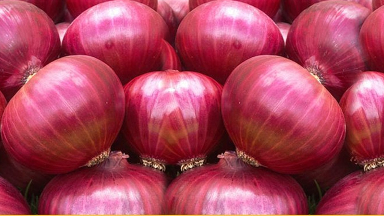 ভারত থেকে দেড় হাজার টন পেঁয়াজ আমদানির অনুমতি