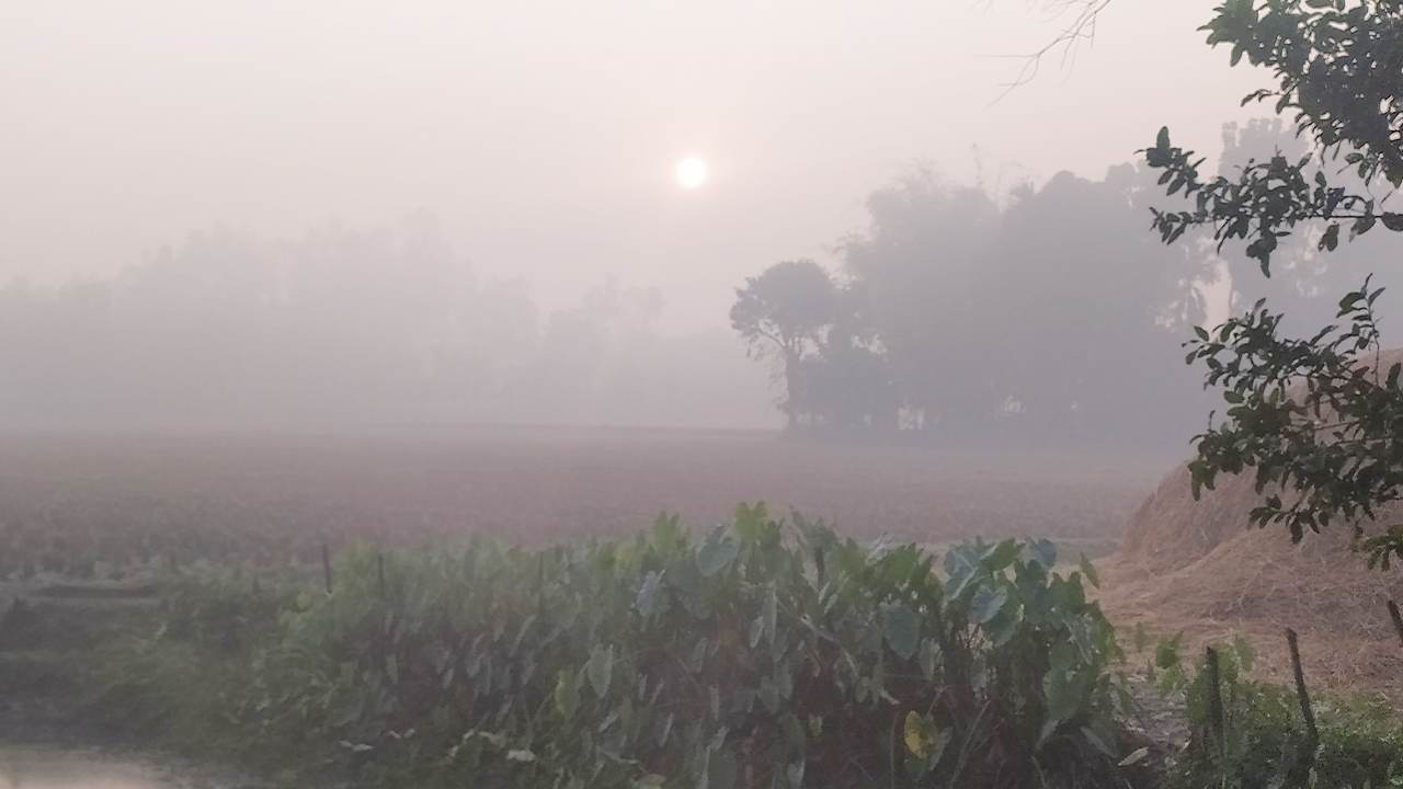 পঞ্চগড়ে বাড়ছে শীতের দাপট, টানা তিন দিন তাপমাত্রা ১২ ডিগ্রিতে