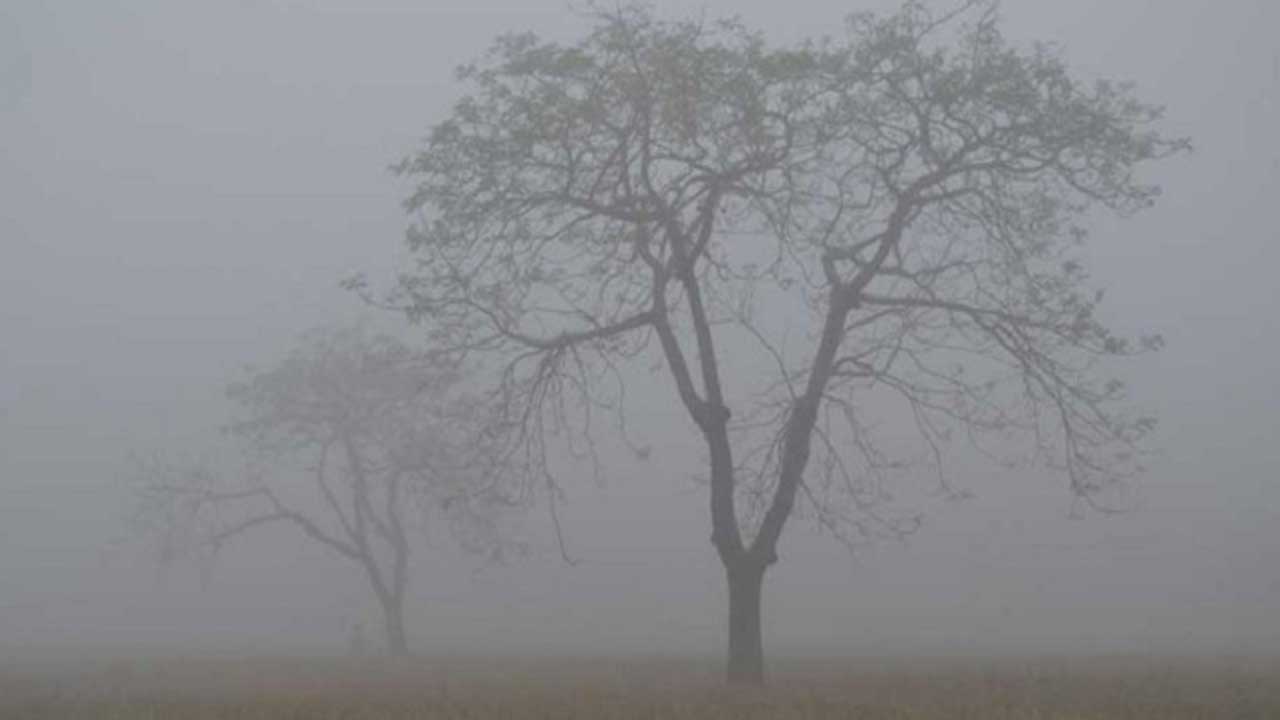 আজও ঘন কুয়াশা পড়ার আভাস, যোগাযোগ ব্যাহতের শঙ্কা