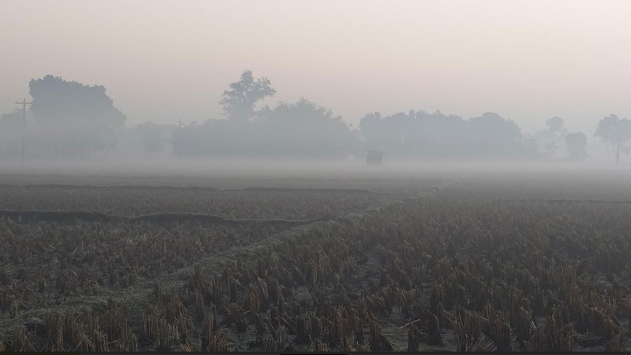 তেঁতুলিয়ায় মৃদু শৈত্যপ্রবাহ, তাপমাত্রা ৯ ডিগ্রির ঘরে