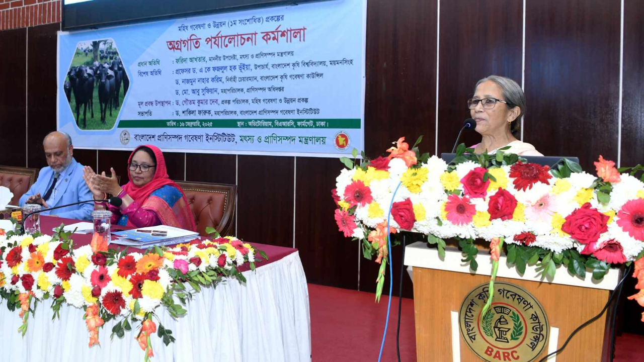 মহিষের দই জিআই পণ্য হিসেবে স্বীকৃতি চান প্রাণিসম্পদ উপদেষ্টা