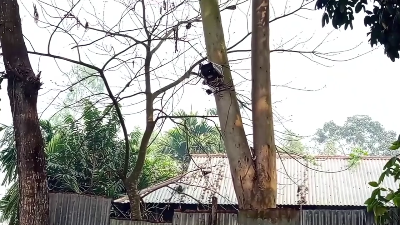 শূন্যরেখায় বিএসএফের সিসি ক্যামেরা স্থাপন, বিজিবির প্রতিবাদ