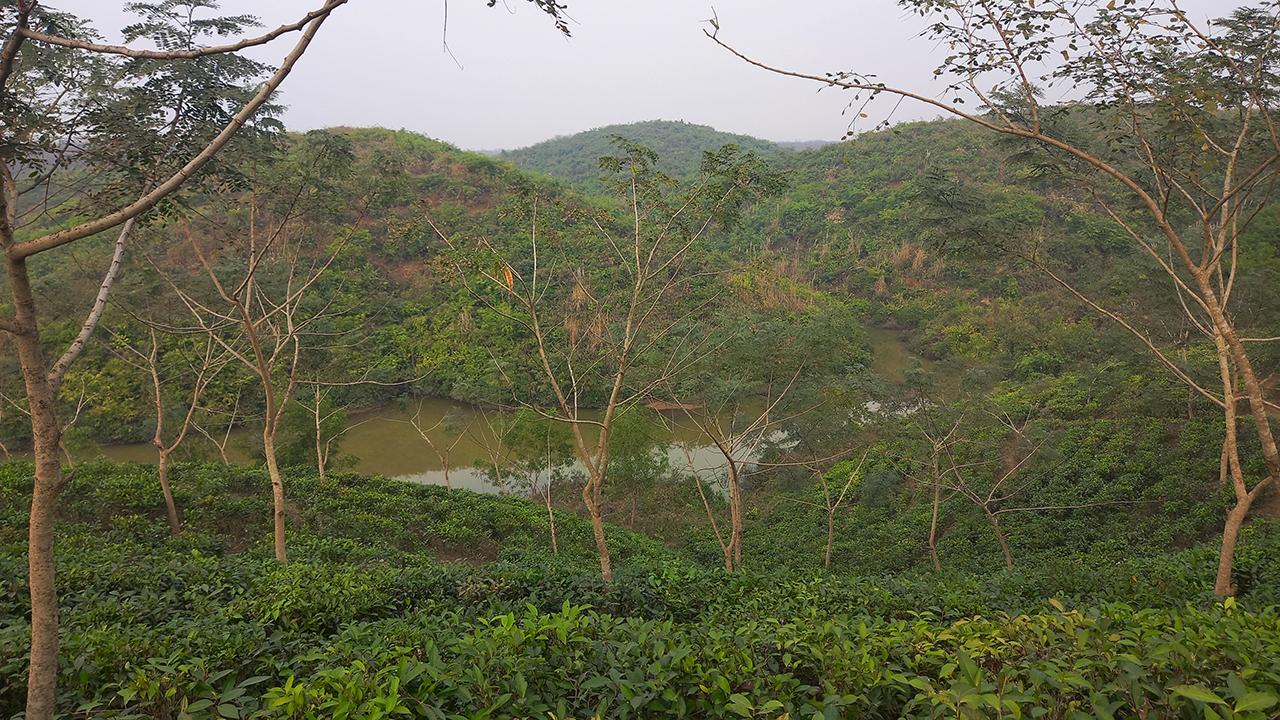 শ্রীমঙ্গলে মৌসুমের সর্বনিম্ন তাপমাত্রা