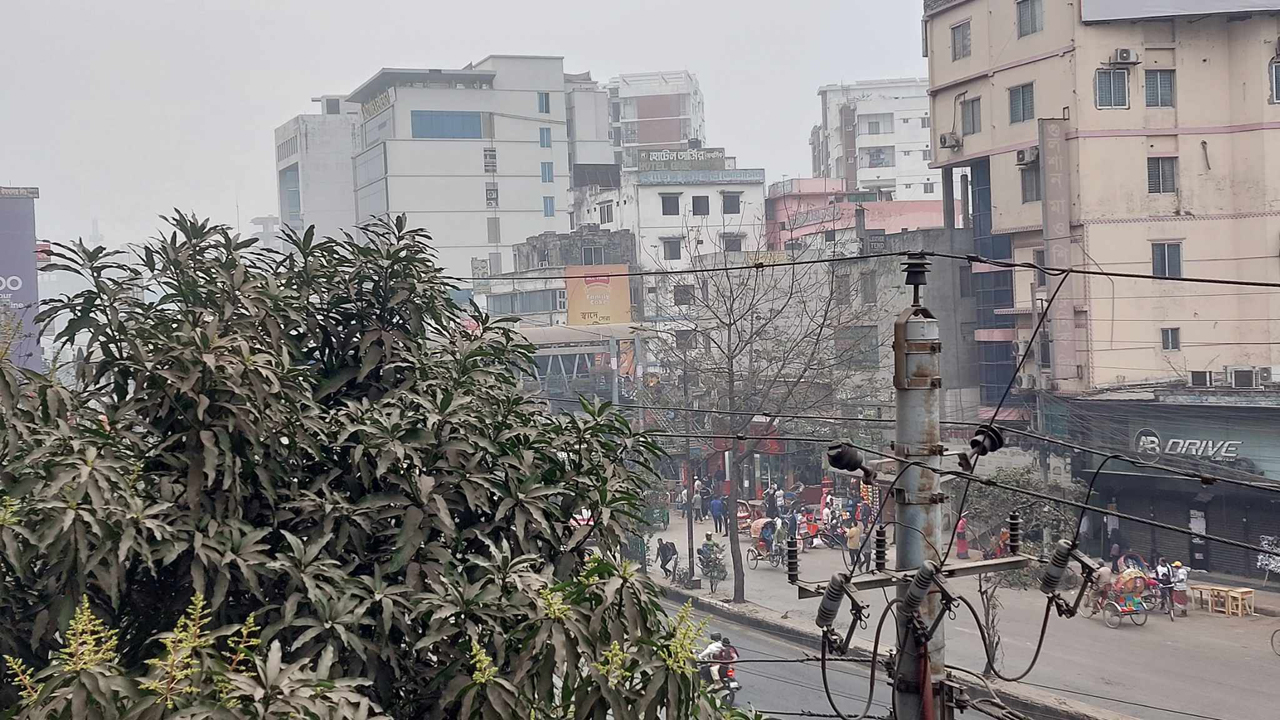 ঢাকায় বৃষ্টির মতো ঝরেছে কুয়াশা