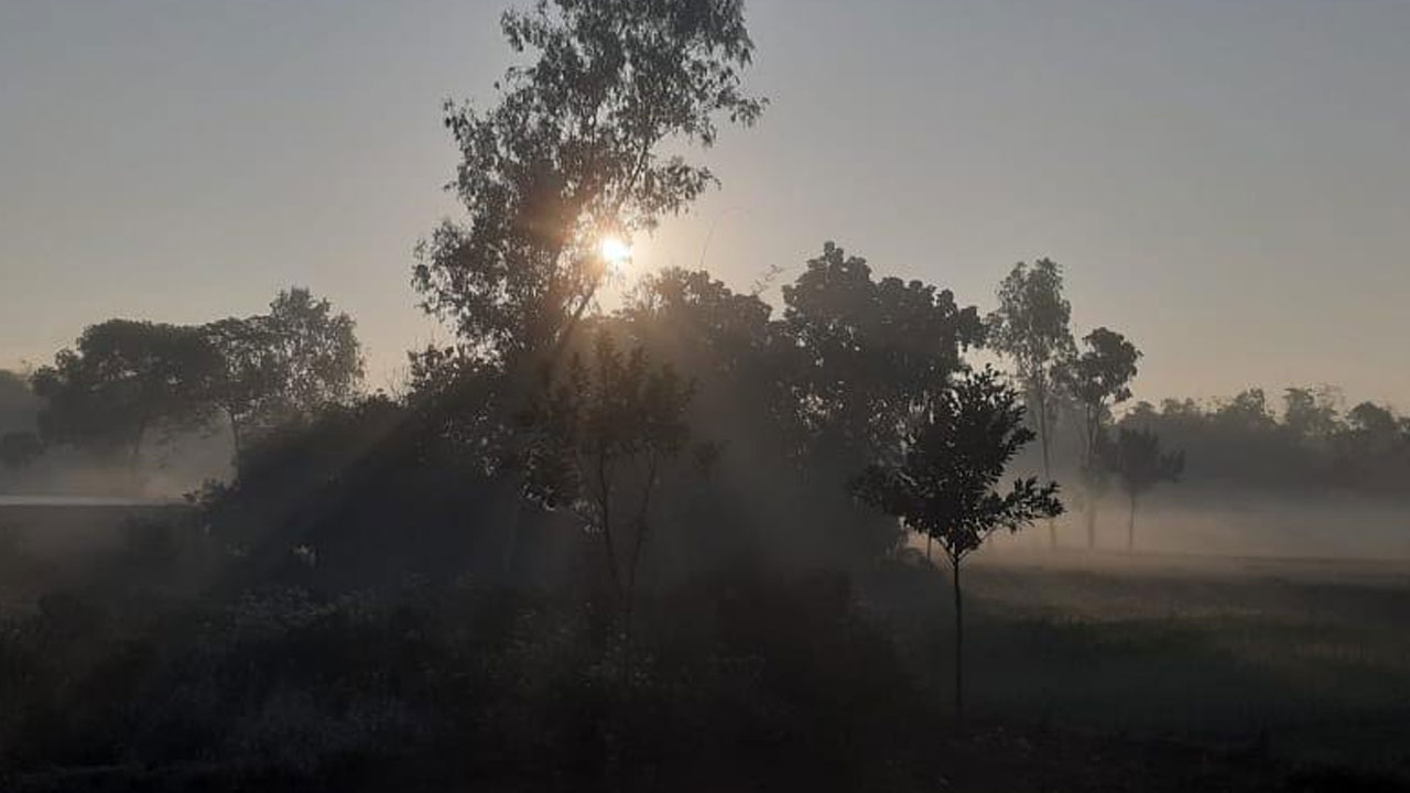 বাড়বে দিন ও রাতের তাপমাত্রা