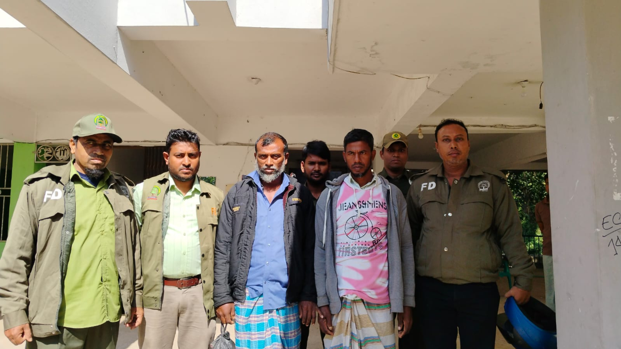 রাতের আঁধারে বনের গাছ কাটতে গিয়ে আটক, দুজন কারাগারে