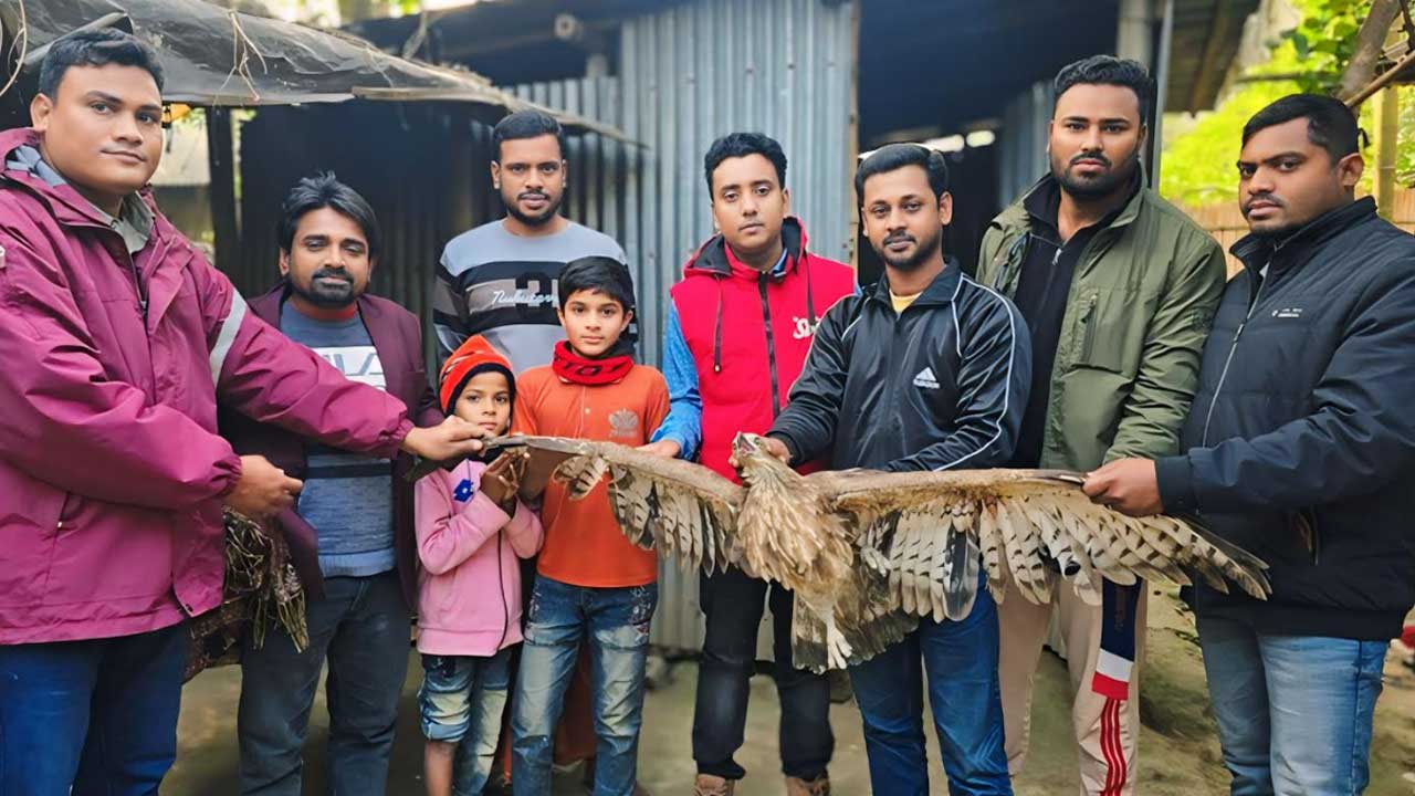 নাটোরে গুলিবিদ্ধ ভুবন চিল উদ্ধার