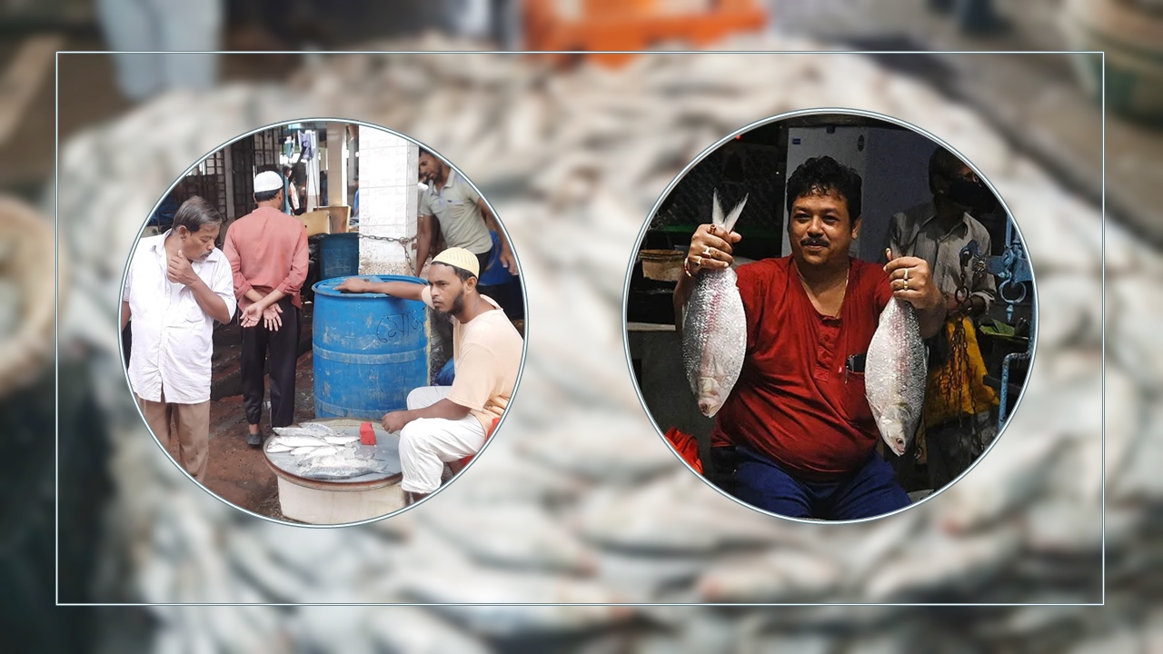 ঢাকায় ৬০০ টাকা কেজিতে ইলিশ বিক্রি শুরু, কিনবেন যেভাবে