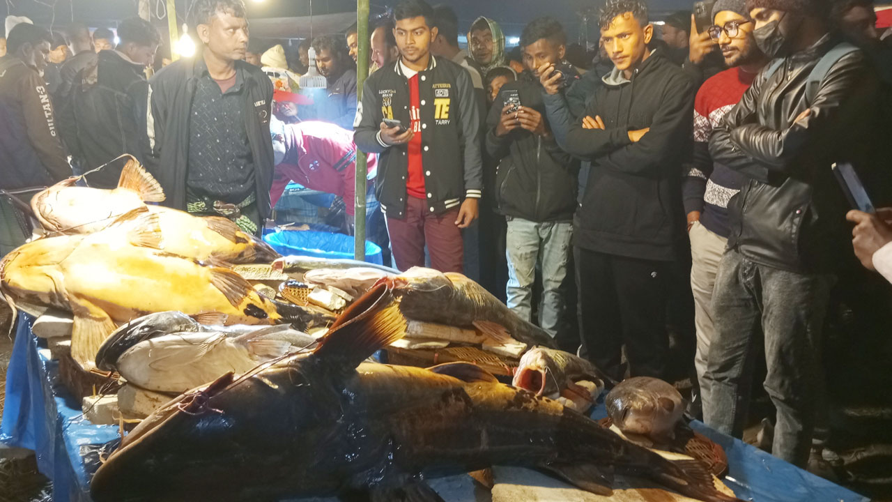 জমে উঠেছে মৌলভীবাজারের ঐতিহ্যবাহী মাছের মেলা