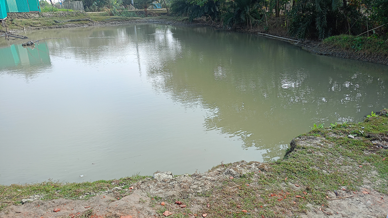 নোয়াখালীতে পানিতে ডুবে দুই শিশুর মৃত্যু