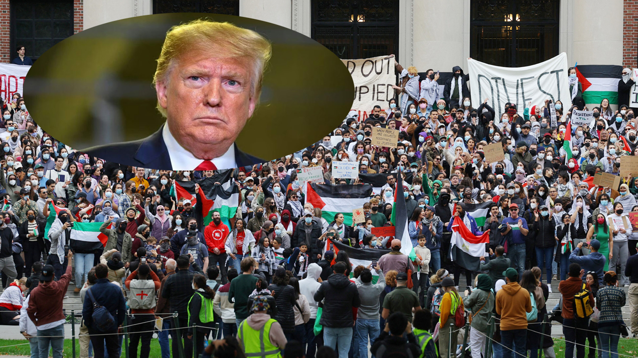 ফিলিস্তিনের পক্ষে আন্দোলনকারীদের ফেরত পাঠাবে যুক্তরাষ্ট্র