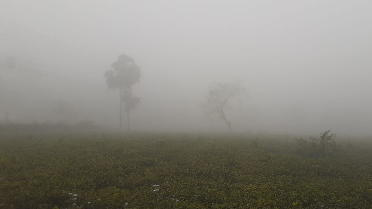 পঞ্চগড়ে শৈত্যপ্রবাহ কাটলেও কমছে না শীতের দাপট