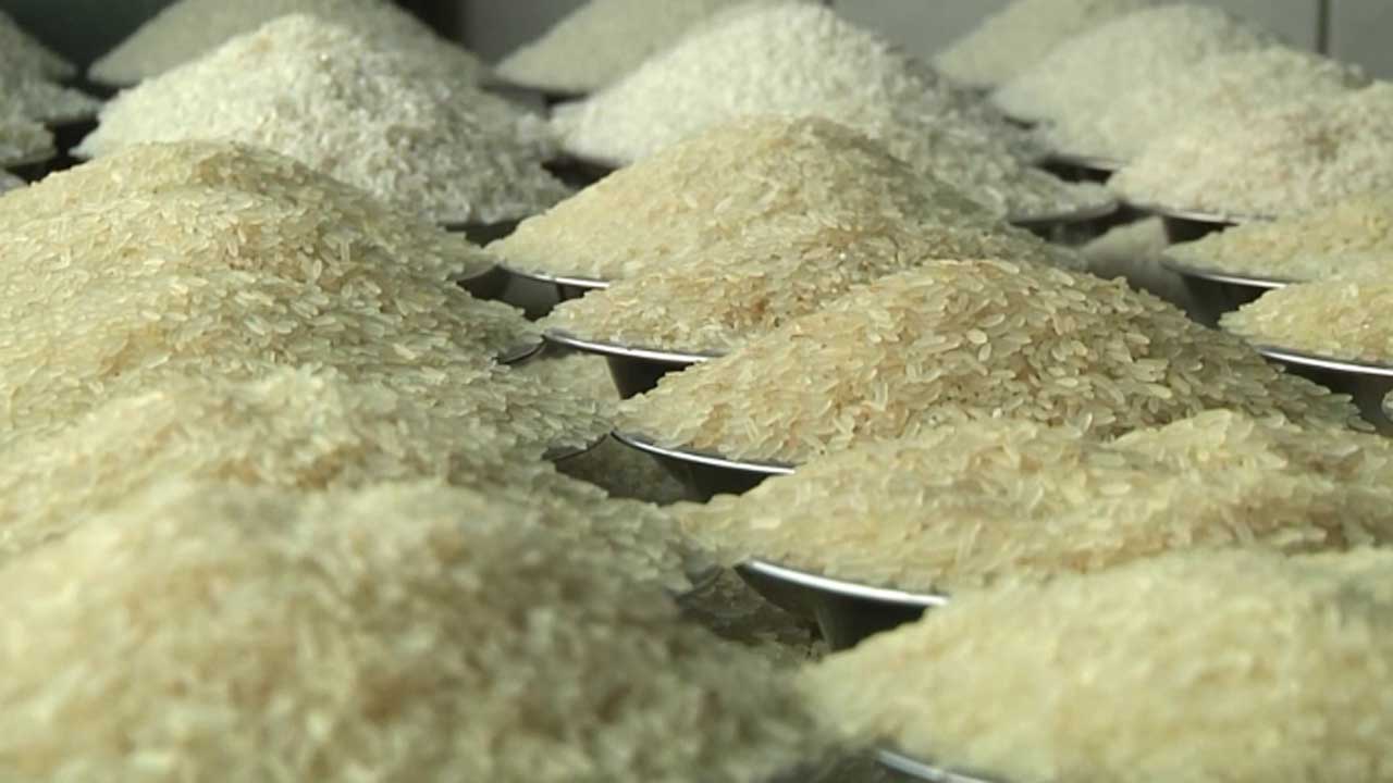 ৭৩৯ কোটি টাকায় চাল ও সার কিনবে সরকার