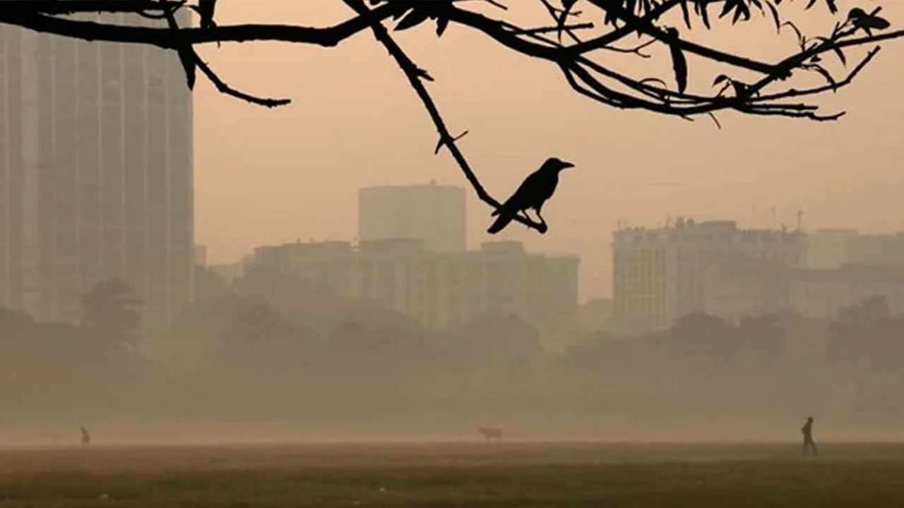 শীত বাড়বে কবে, জানাল আবহাওয়া অধিদপ্তর