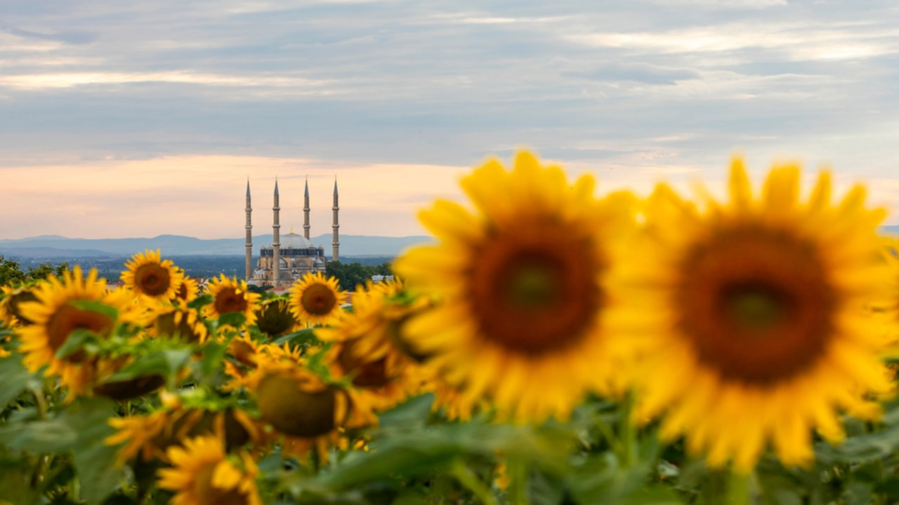 মহানবী (সা.) নিজেই যে সাহাবিকে দাফন করেছিলেন