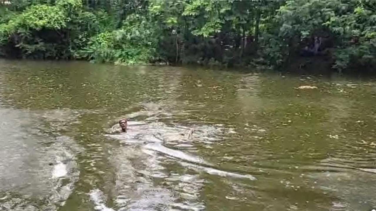 ফটিকছড়িতে পুকুরে ভাসছিল বৃদ্ধের মরদেহ