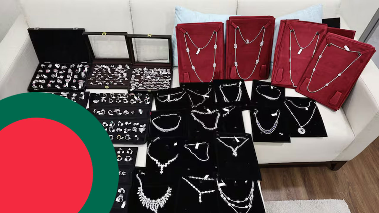 ভুলে ৩ কোটি টাকার হীরার ব্যাগ নিয়ে এলেন বাংলাদেশি, পরে ফেরত