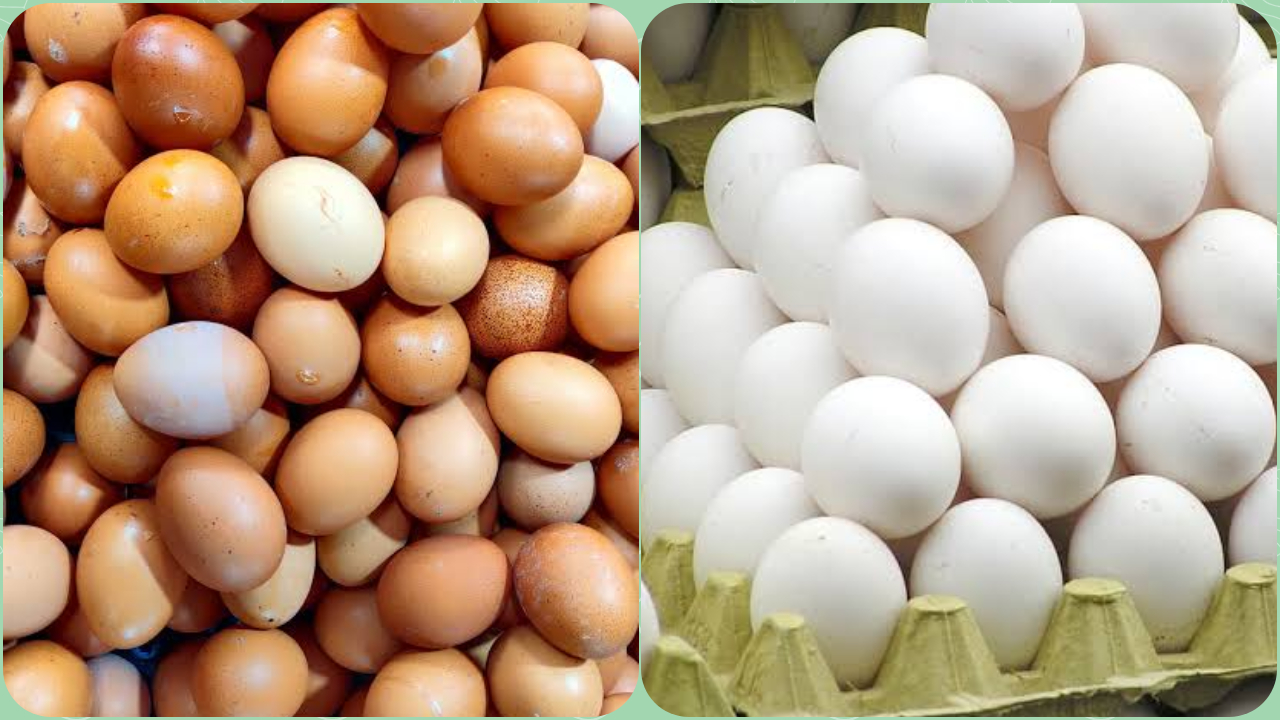 ডিমে চাঙাভাব, খুচরা বিক্রি হচ্ছে ১১০ টাকা ডজনে