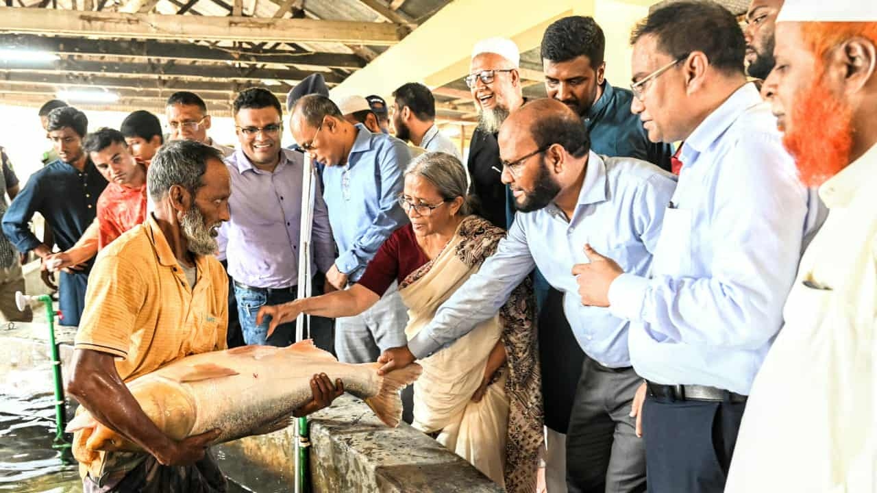 জলমহালের প্রকৃত অধিকার মৎস্যজীবীদের : মৎস্য উপদেষ্টা