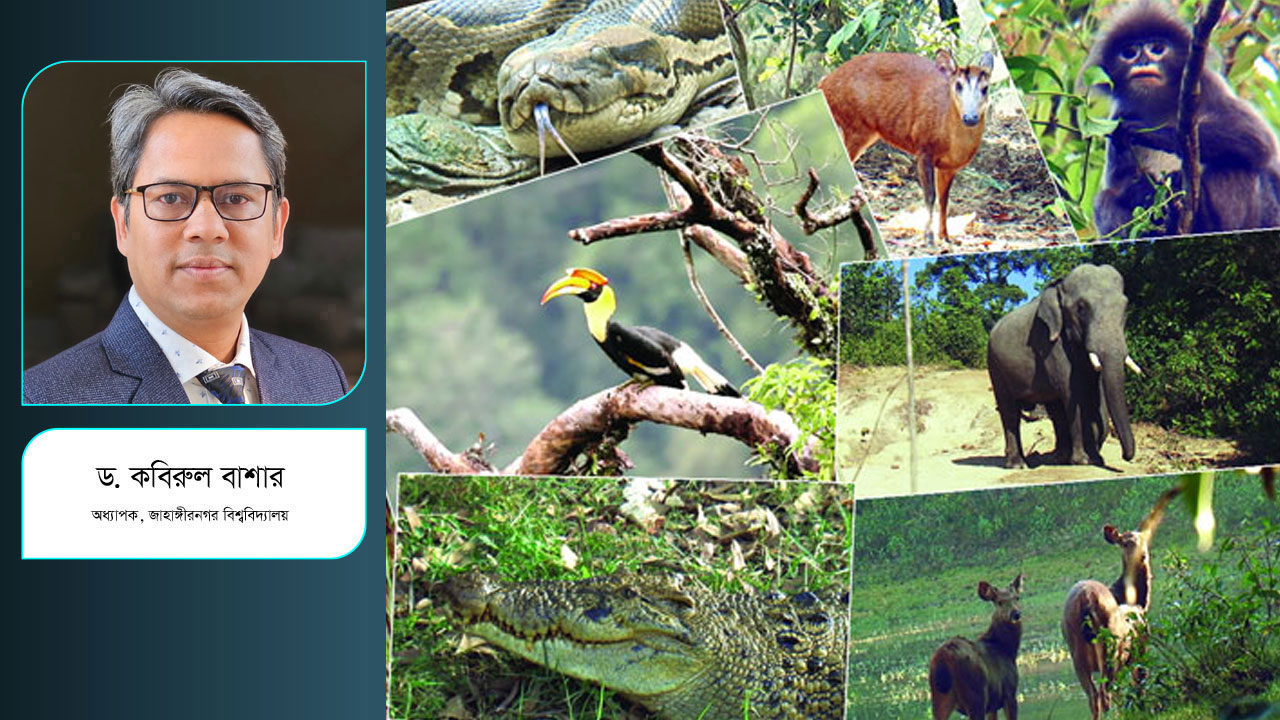 বন্য প্রাণী লোকালয়ে ঢোকে কেন?