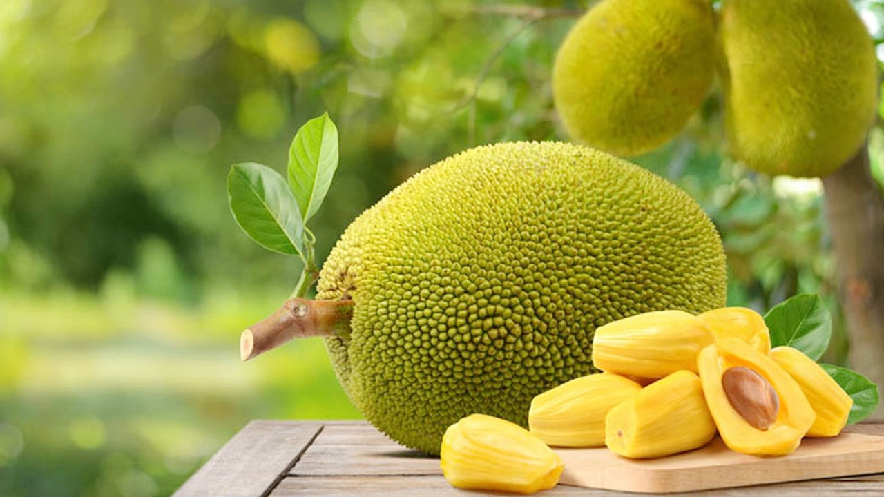 কেরালায় কাঁঠাল খেয়ে বাস চালানোয় আটক ৩