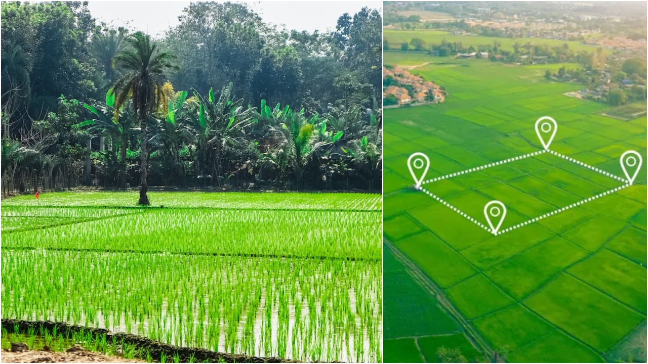 ঘরে বসেই অনলাইনে যেভাবে করবেন ই-নামজারি