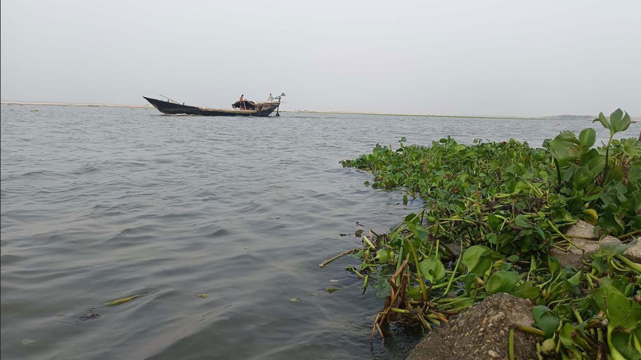 বাড়ছে পদ্মার পানি