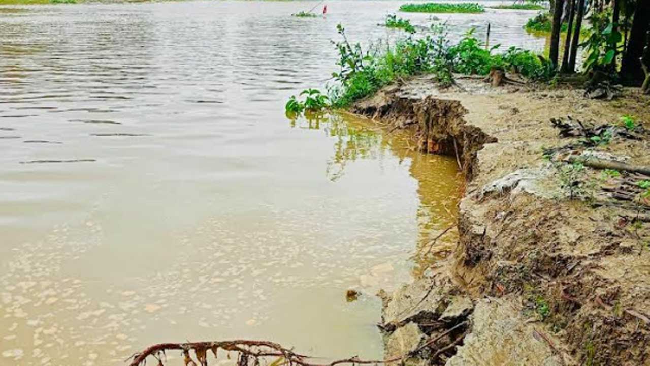 সোনাগাজীতে ফের নদীভাঙন, ধসে পড়ল ক্ষতিগ্রস্ত তিন সড়ক