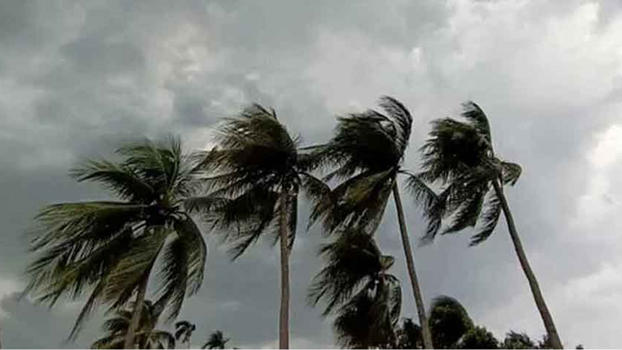 রাতের মধ্যে ১৯ অঞ্চলে ঝড়ের আভাস