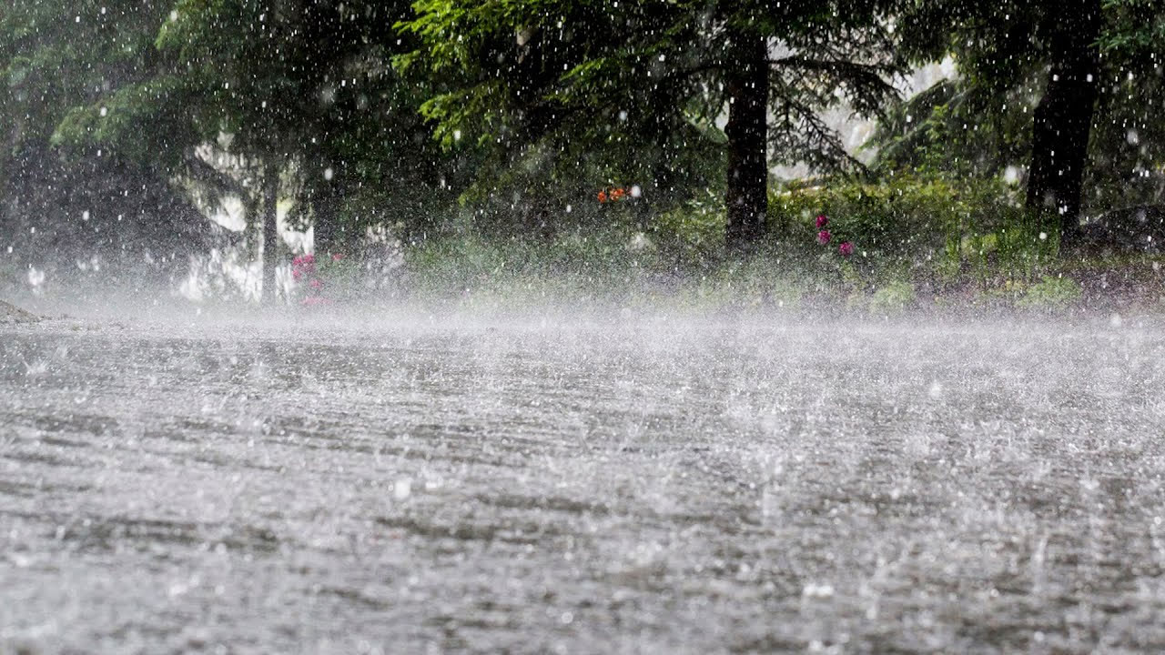 চার বিভাগে ভারী বৃষ্টির আভাস, কমতে পারে তাপমাত্রা