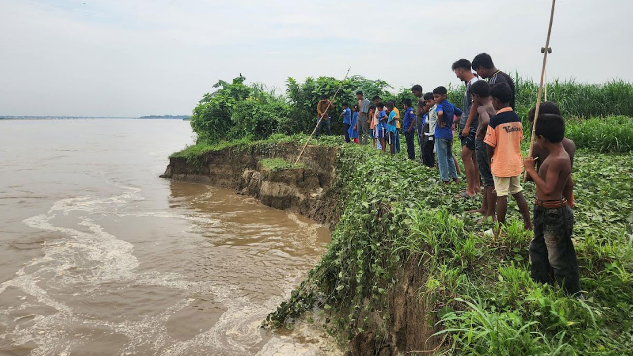পদ্মায় নদী ভাঙনে বিলীন হয়েছে কৃষি জমি, আতঙ্কে রয়েছে কয়েকশ পরিবার