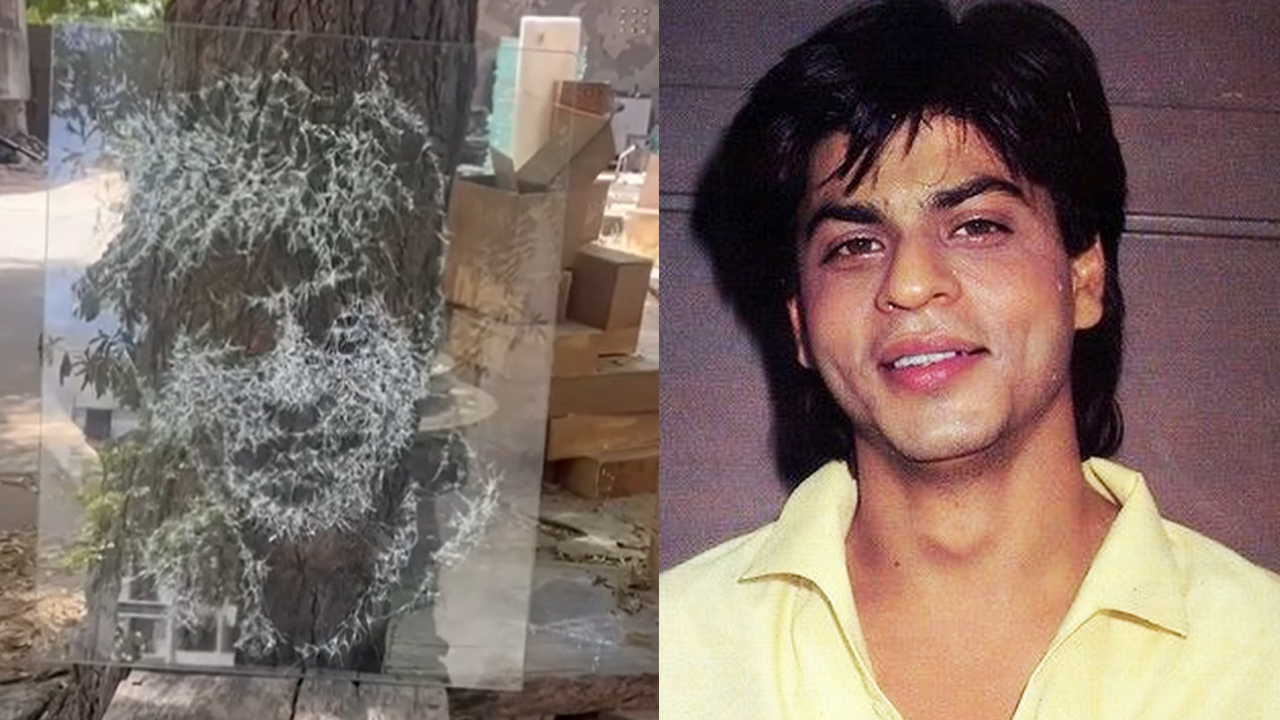 কাচ ভেঙে শাহরুখের চেহারা বানিয়ে চমকে দিলেন ভক্ত!