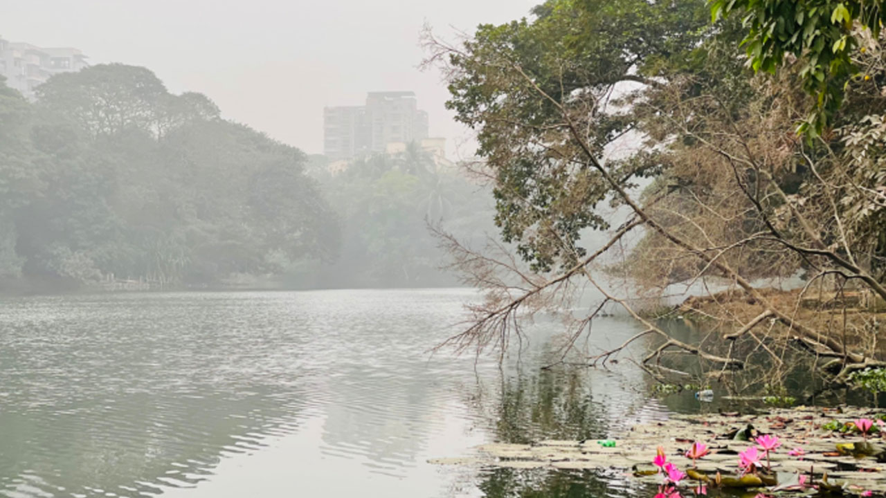 ২ ডিগ্রি সেলসিয়াস কমতে পারে ঢাকার তাপমাত্রা, সম্ভাবনা বজ্রসহ বৃষ্টির
