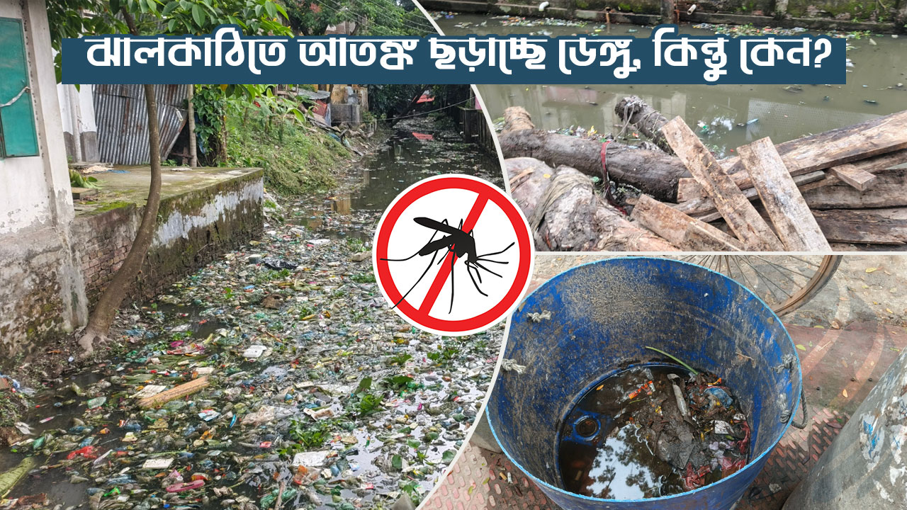 ঝালকাঠিতে আতঙ্ক ছড়াচ্ছে ডেঙ্গু, কিন্তু কেন?