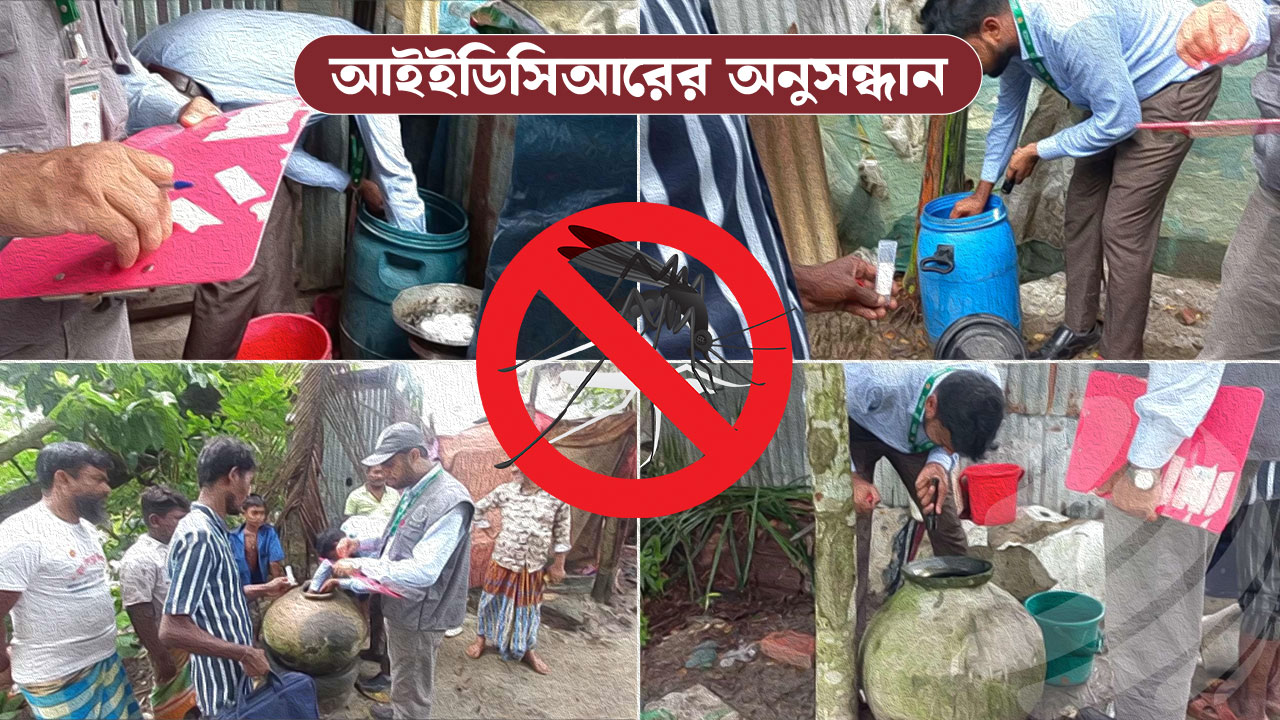 বরগুনায় বেড়েছে ডেঙ্গু, রান্নার জন্য জমানো পানিই কি কারণ?