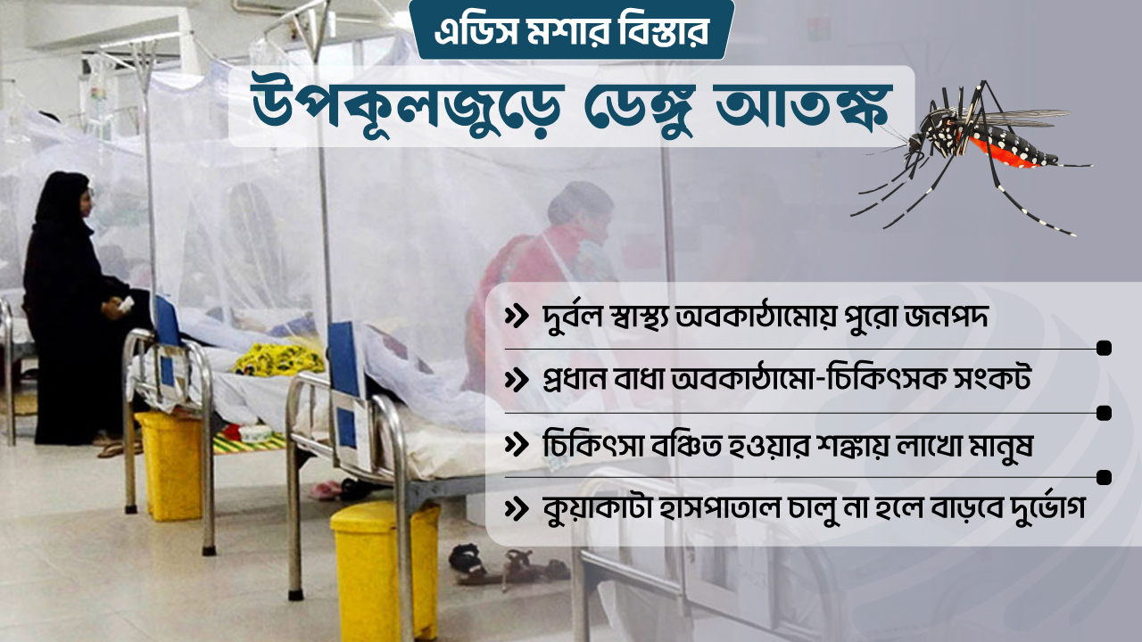 ডেঙ্গুর ছোবলে উপকূল : নেই ডাক্তার, নেই বেড, নেই ব্যবস্থা