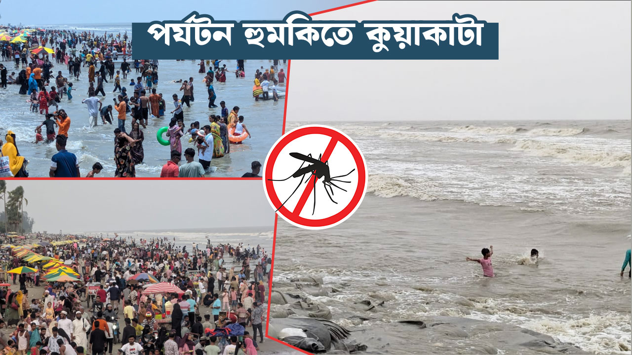 বুকিং কম, আতঙ্ক বেশি : ডেঙ্গুর কালো ছায়া পর্যটন ব্যবসায়
