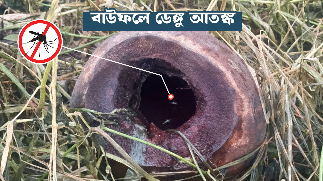 ‘বাইরের মশা’ নয়, আপনার ঘরের আঙিনাই ডেঙ্গুর উৎস!