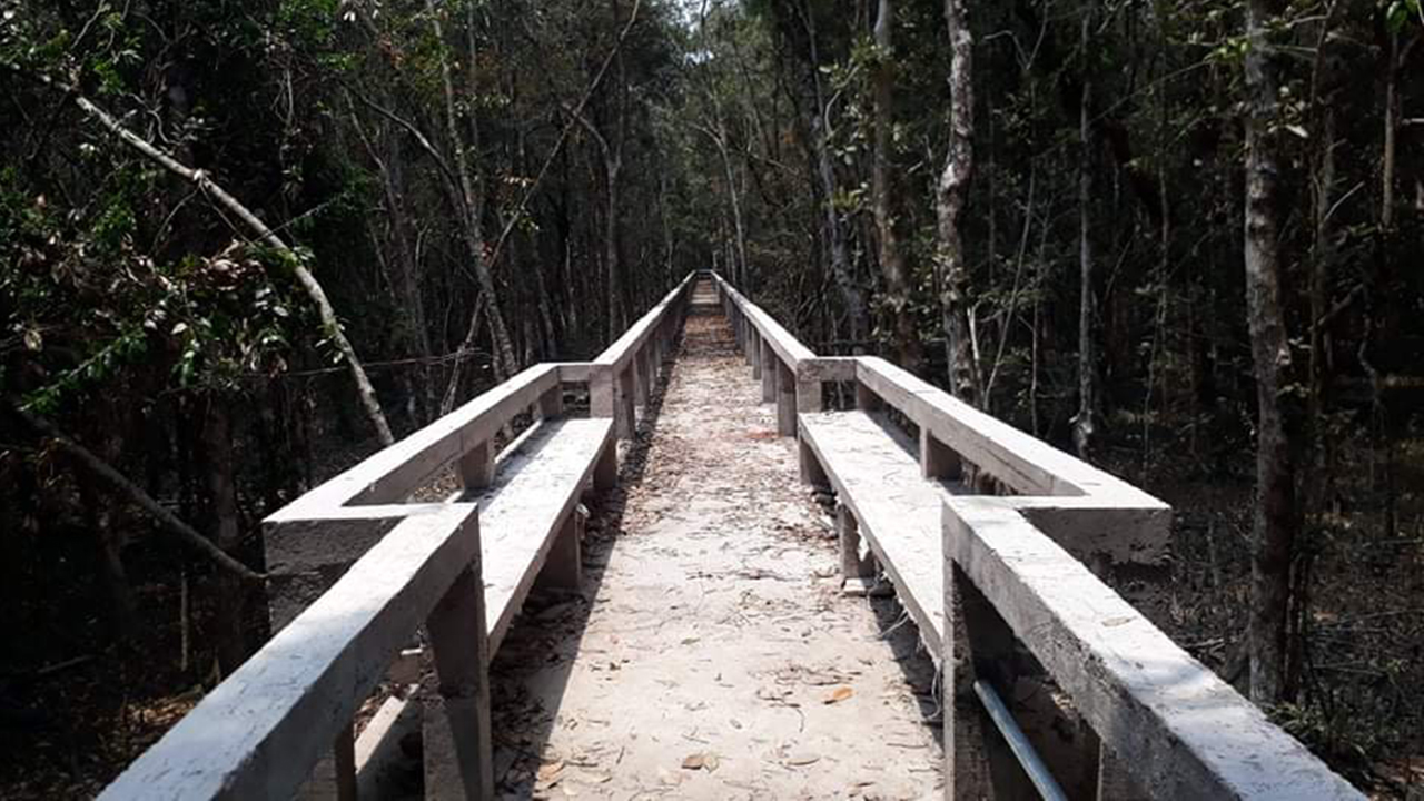 যে কারণে বন্ধ থাকবে সুন্দরবনের দ্বার