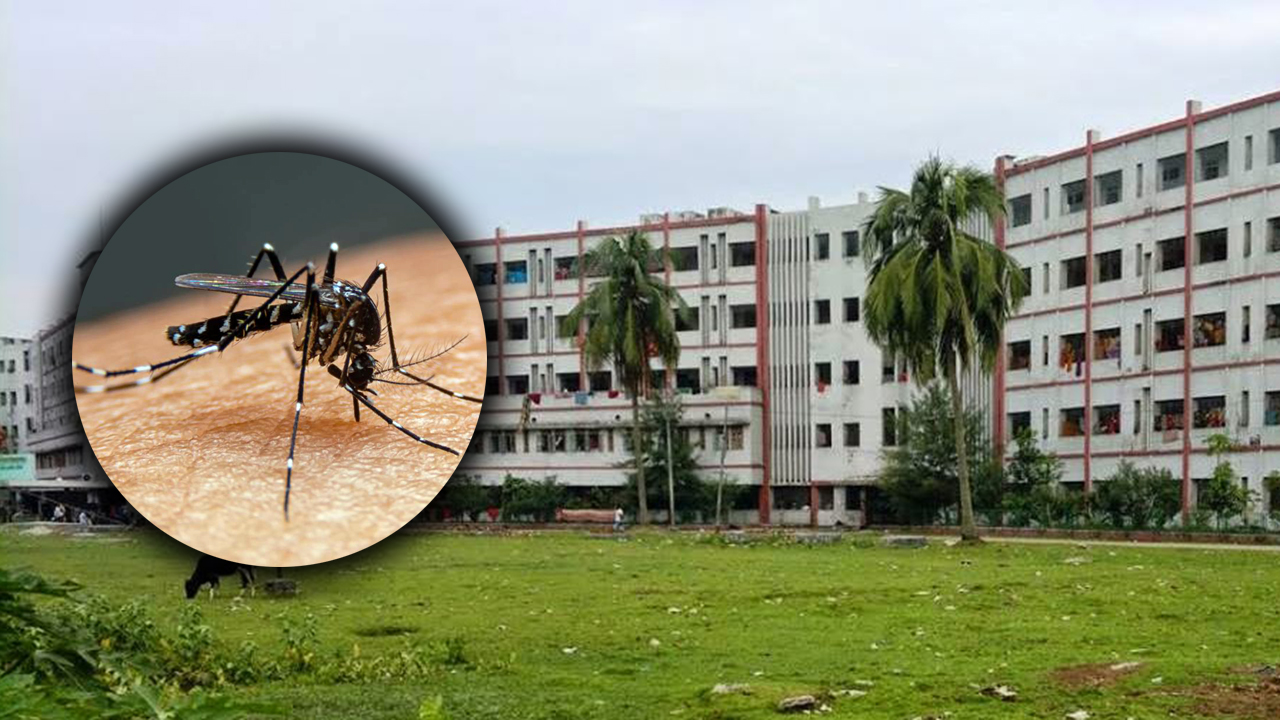 শেবাচিমে ডেঙ্গুতে শিশুর মৃত্যু