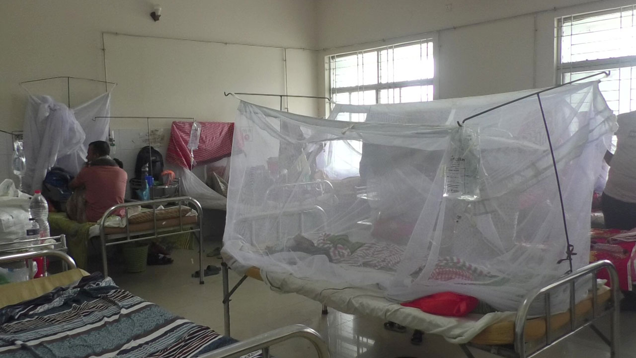 বরিশাল বিভাগে ডেঙ্গুতে দুইজনের মৃত্যু, নতুন আক্রান্ত ১০৫