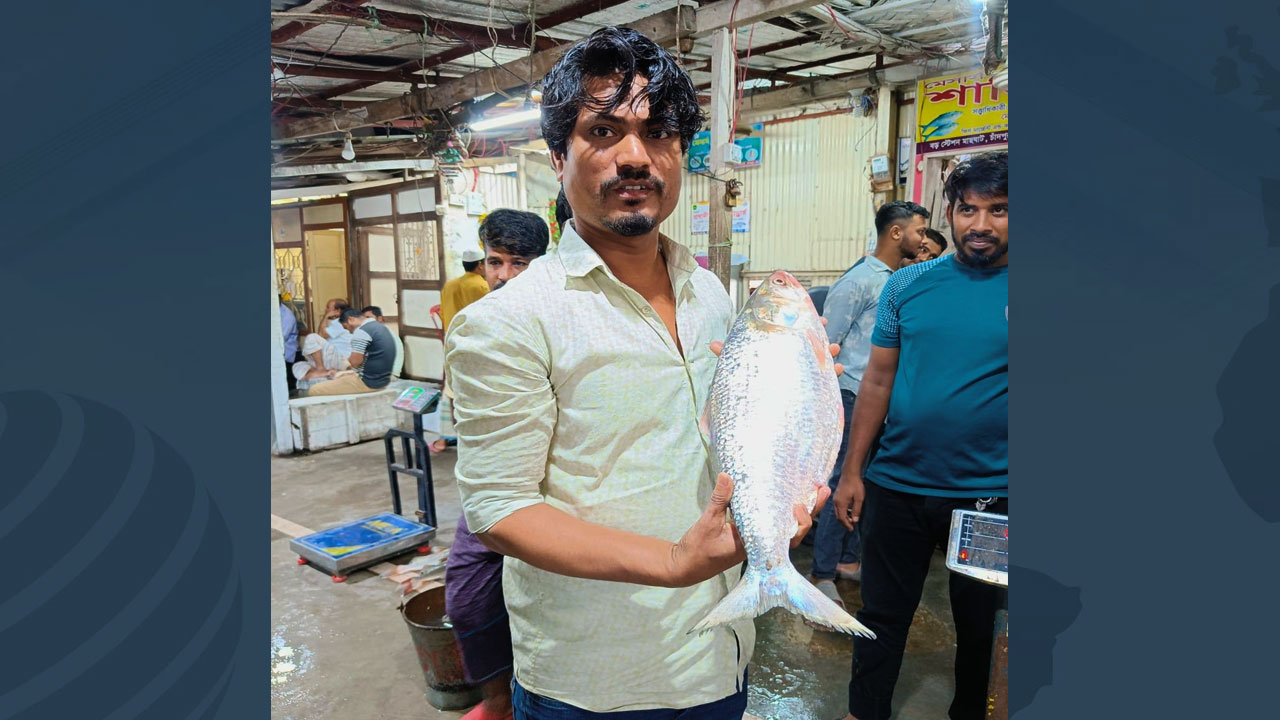 চাঁদপুরে এক ইলিশের দাম ১৩ হাজার টাকা