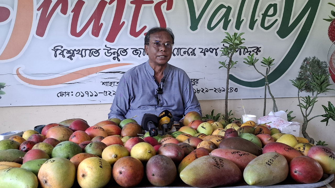 হেলাল উদ্দিনের বাগানে ৫৭ জাতের আম, বিক্রির টার্গেট ৮ লাখ টাকা