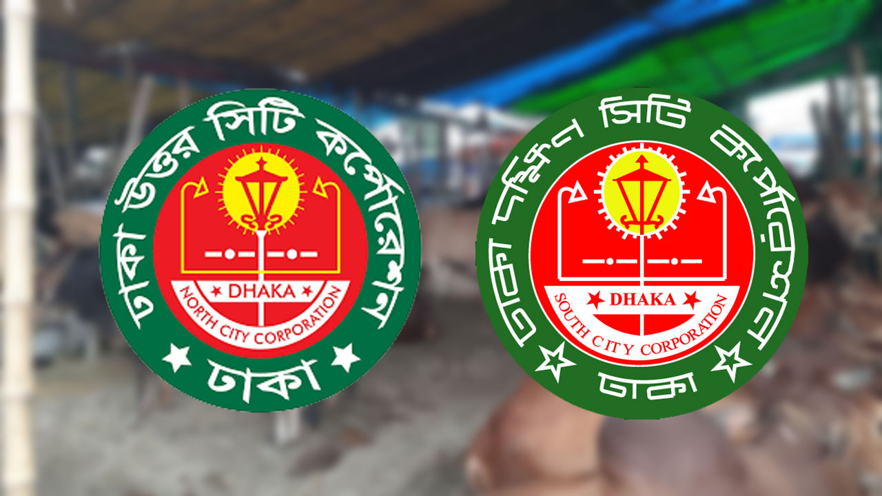 রাজধানীতে গত বছরের তুলনায় এ বছর অর্ধেক পশু কোরবানি হয়েছে