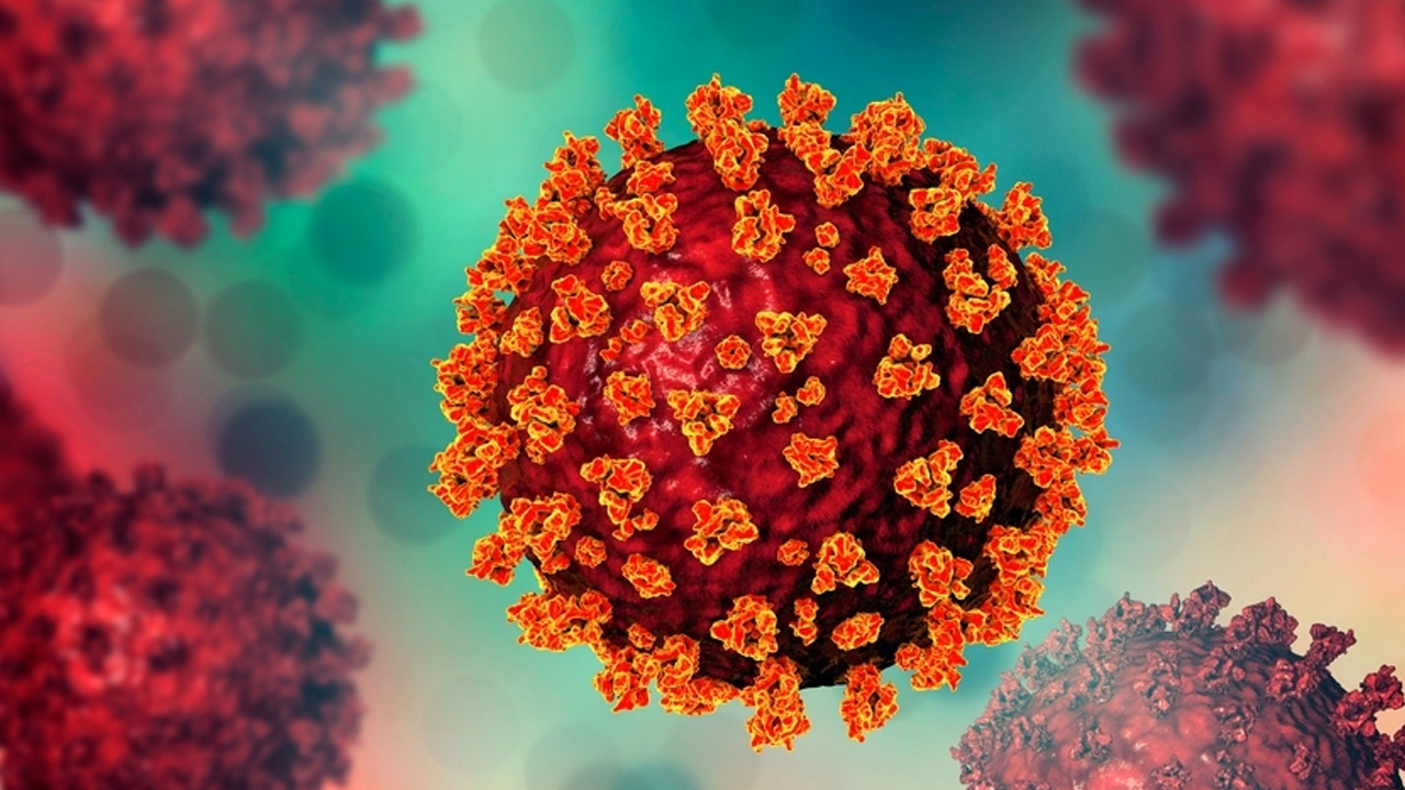 ৪ জনের নমুনা পরীক্ষায় ৩ জনের করোনা শনাক্ত