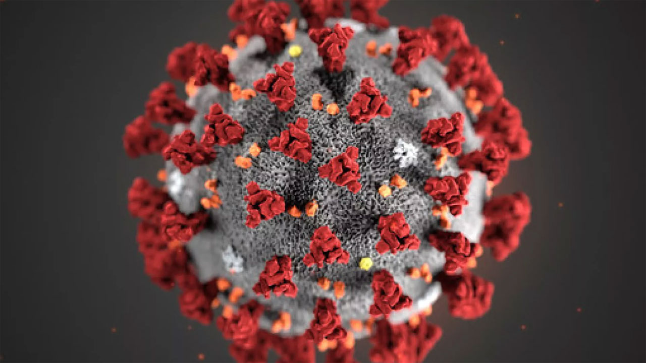 ভারতে হু হু করে বাড়ছে করোনা আক্রান্তের সংখ্যা, ২৪ ঘণ্টায় ছয়জনের মৃত্যু