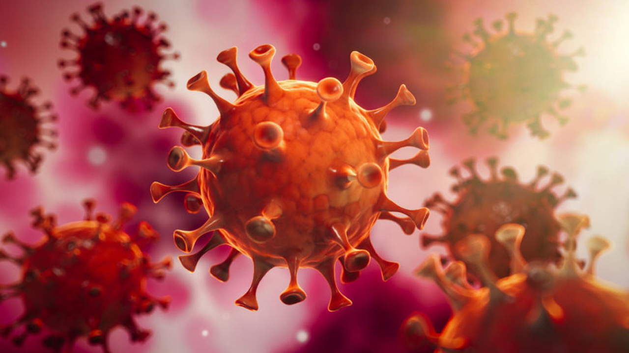 একদিনে আরও ১৩ জনের করোনা শনাক্ত