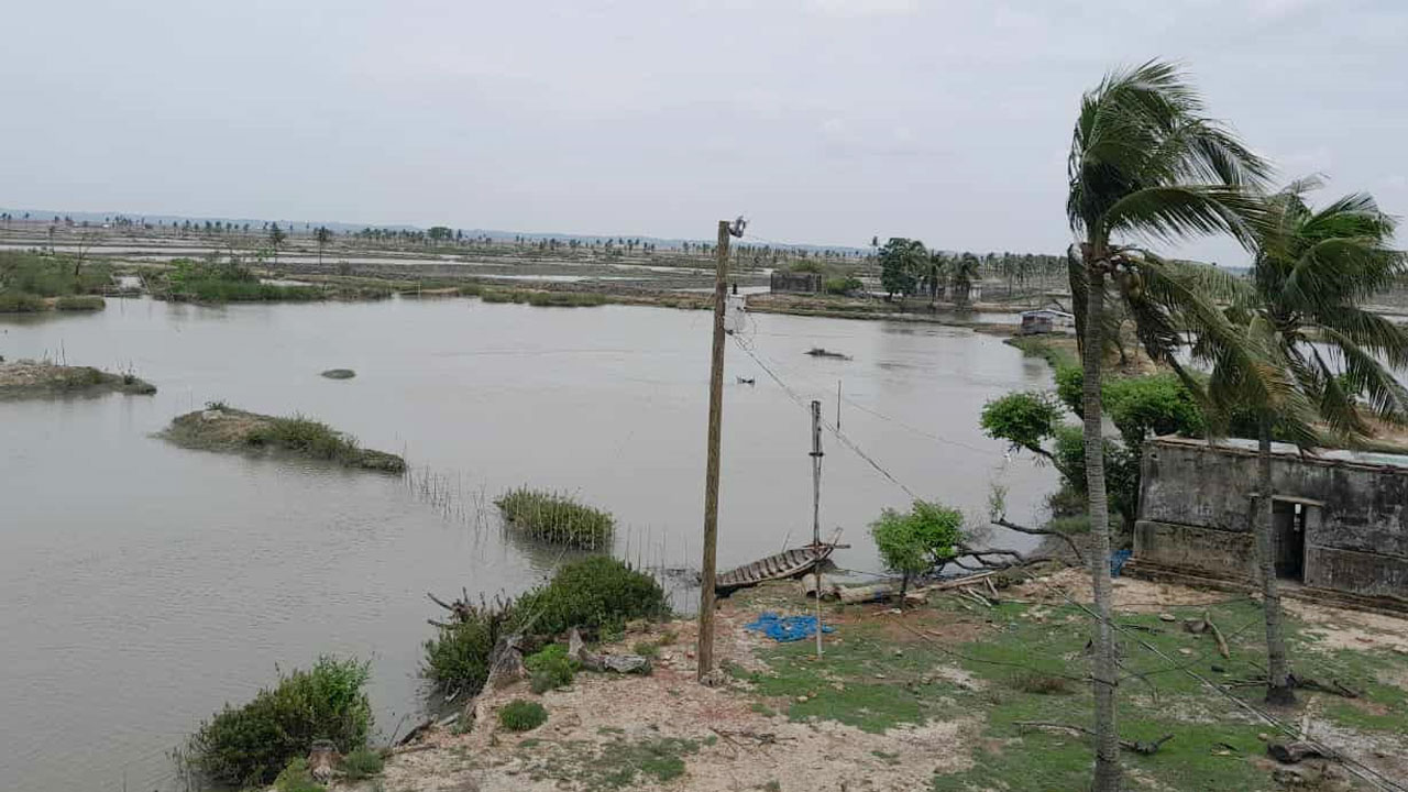গ্রামীণ মৎস্য ও পশুসম্পদ ফাউন্ডেশনের ঘেরে ডাকাতি, আহত ৪