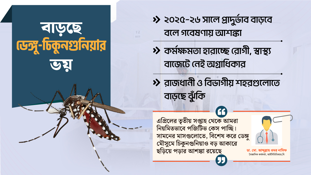 ঢাকায় ভয়াবহ রূপ নিতে পারে চিকুনগুনিয়া